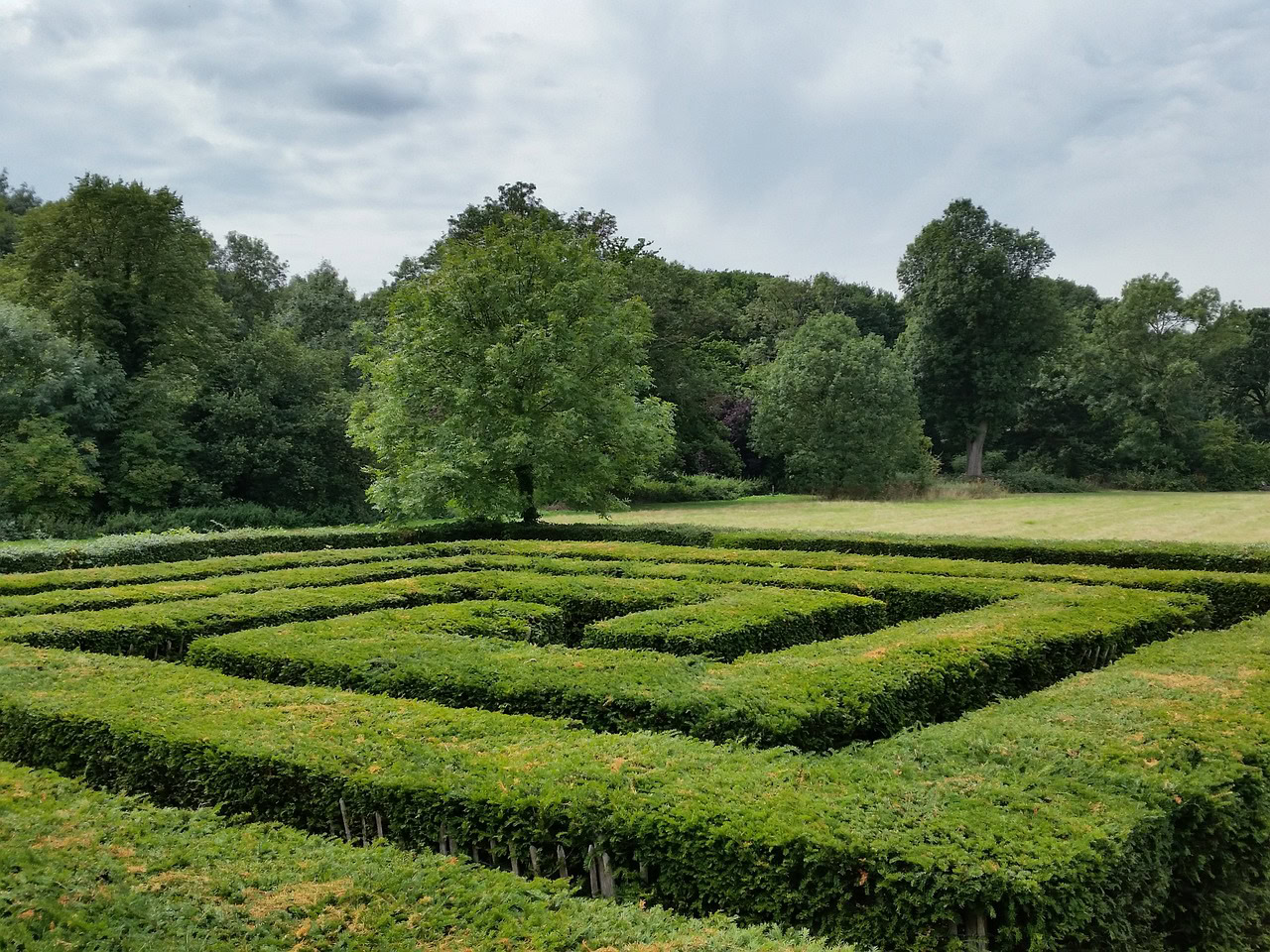 Hedge maze